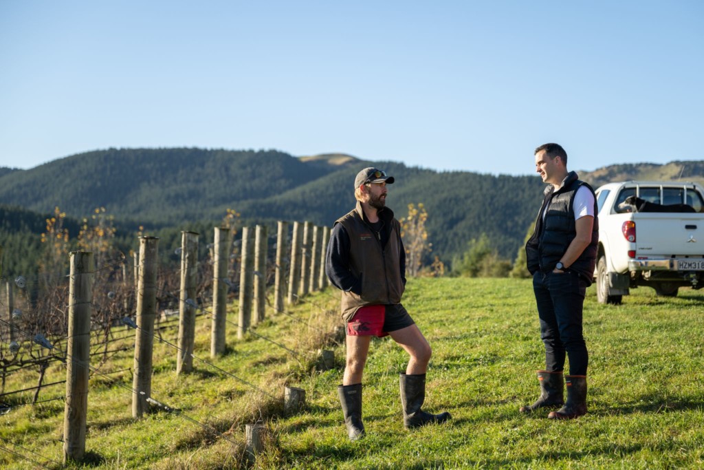 Liam Burgess and Ryan Higgs in vineyard