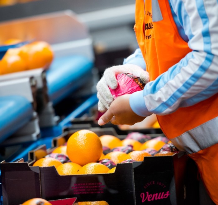 Supply chain innovation, ChillSafe tackles food waste challenge