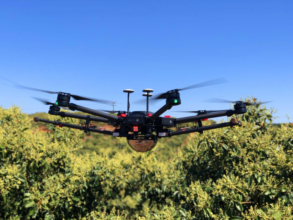 BeeDar drone