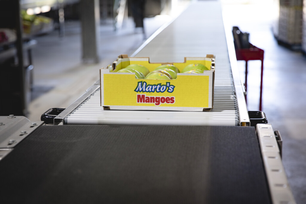 Marto's Mangoes